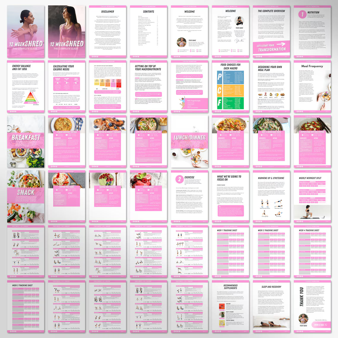 The 12-Week Mastery Blueprint